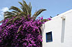 Location Vacances Lanzarote
